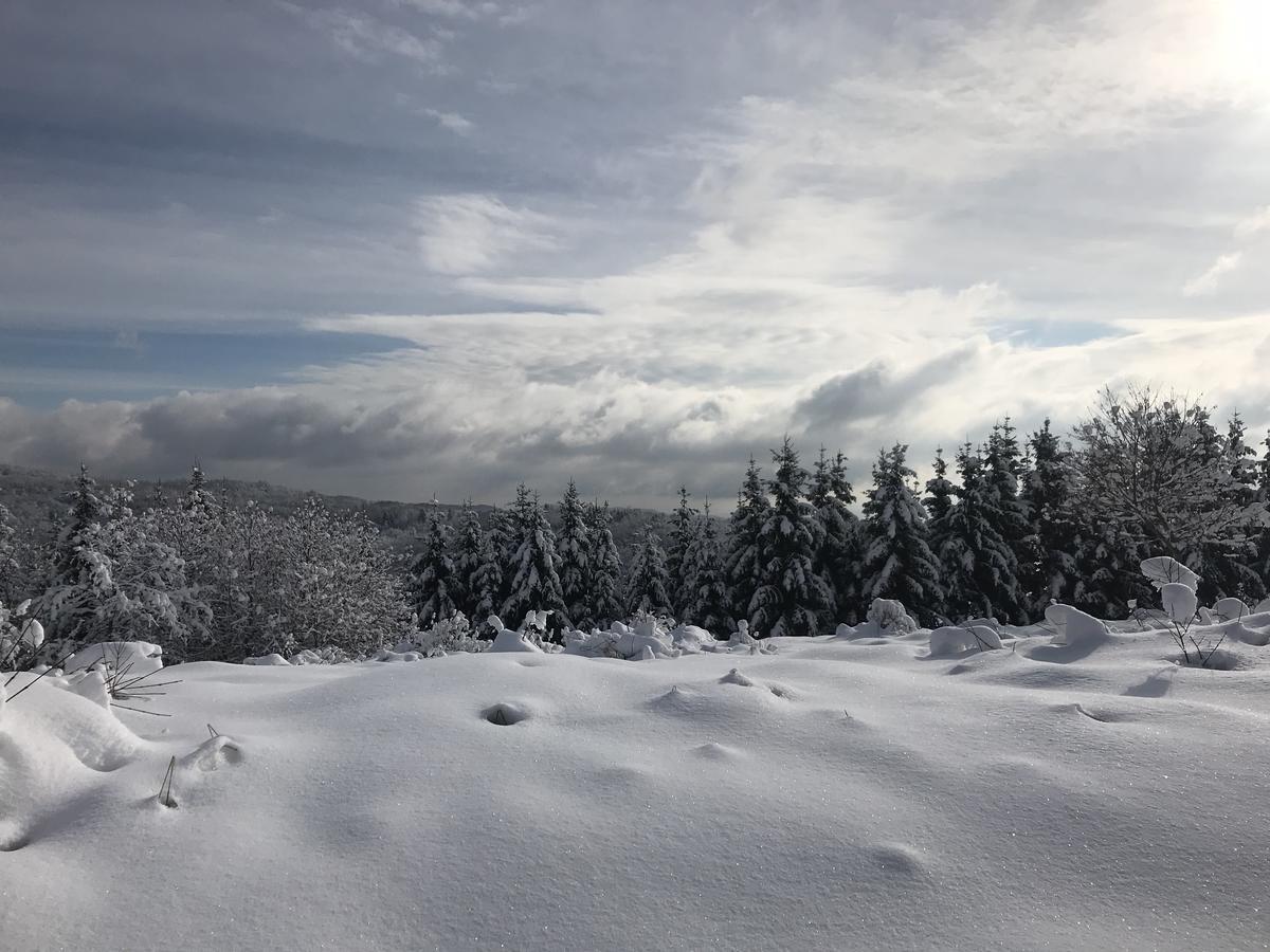 Guest House Lagotto'S Peak Radatovici Εξωτερικό φωτογραφία