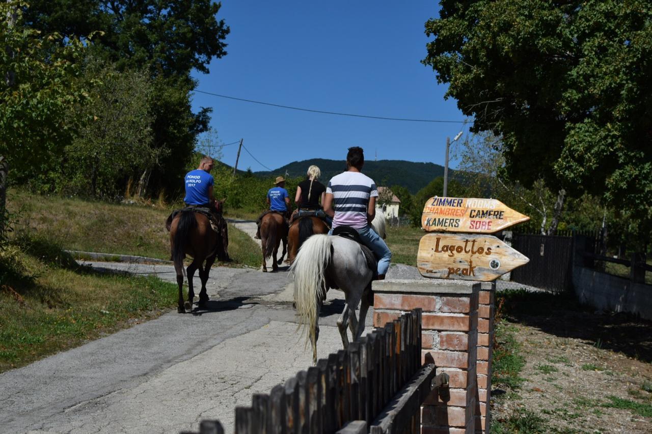 Guest House Lagotto'S Peak Radatovici Εξωτερικό φωτογραφία